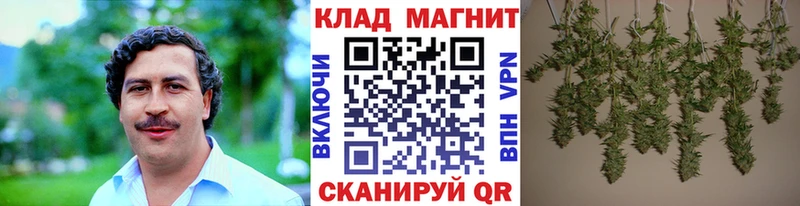 Конопля Магнитогорск