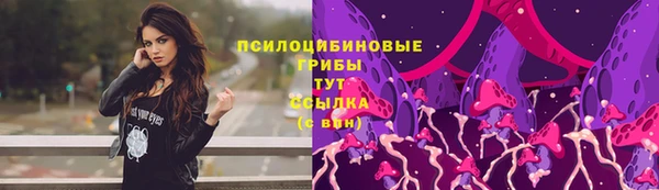 spice Гусь-Хрустальный