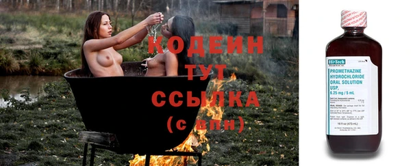 прущие крисы Горняк