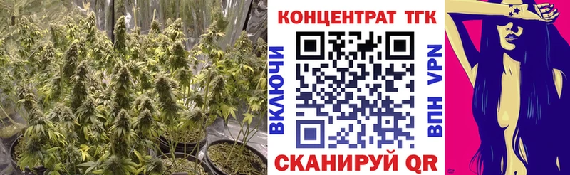ТГК Wax  Магнитогорск 